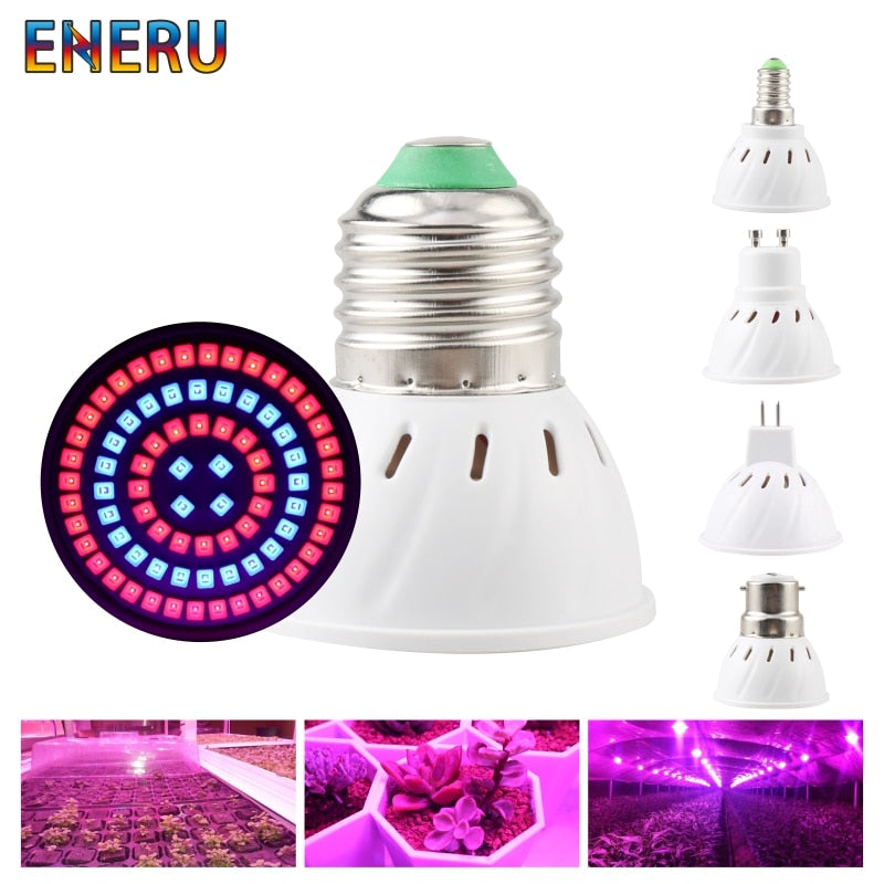 gu10 grow light bulbs Led Grow Light Bulb E27 E14 GU10 MR16 AC 220V 230V 240V Growing Lamp F – Shock Channel